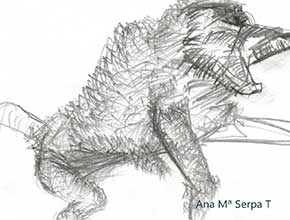 Tecnica Lapiz